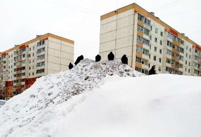 Вывезенный снег с улиц Новгорода собрали в гору высотой с пятиэтажный дом