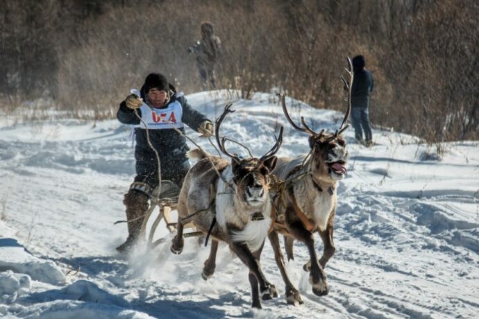 В Нерюнгринском районе Якутии отметили День оленевода