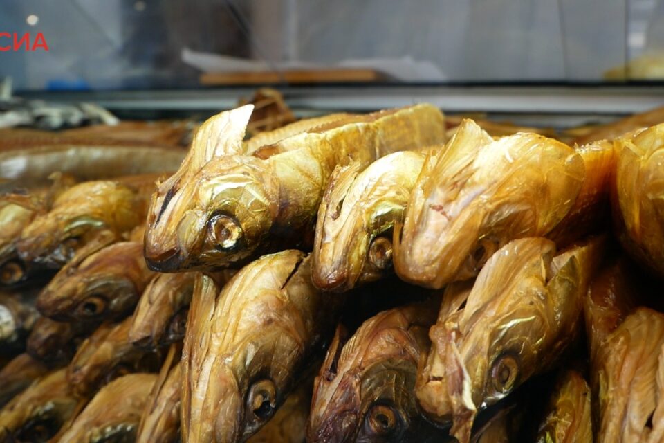 Якутский рынок рыбы. Чокурдах якутия. Чокурдах гостиница. Муксун ямал. Балык рынок.