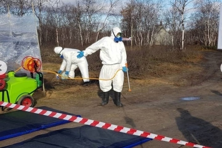 Россельхознадзор предупредил об опасности заноса вируса птичьего гриппа в Якутии