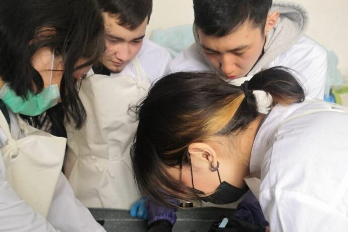 В Якутии студенты-ветеринары изучают анатомию животных