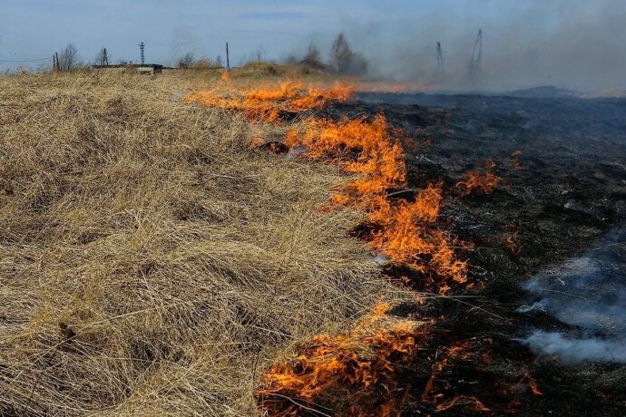 За прошедшую неделю на территории Якутска зафиксировано 27 пожаров
