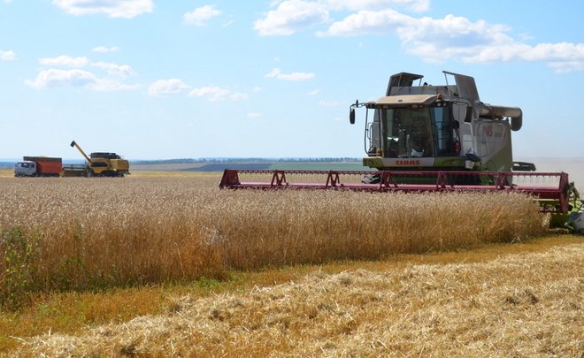 Россия в этом году ожидает рекордный урожай пшеницы