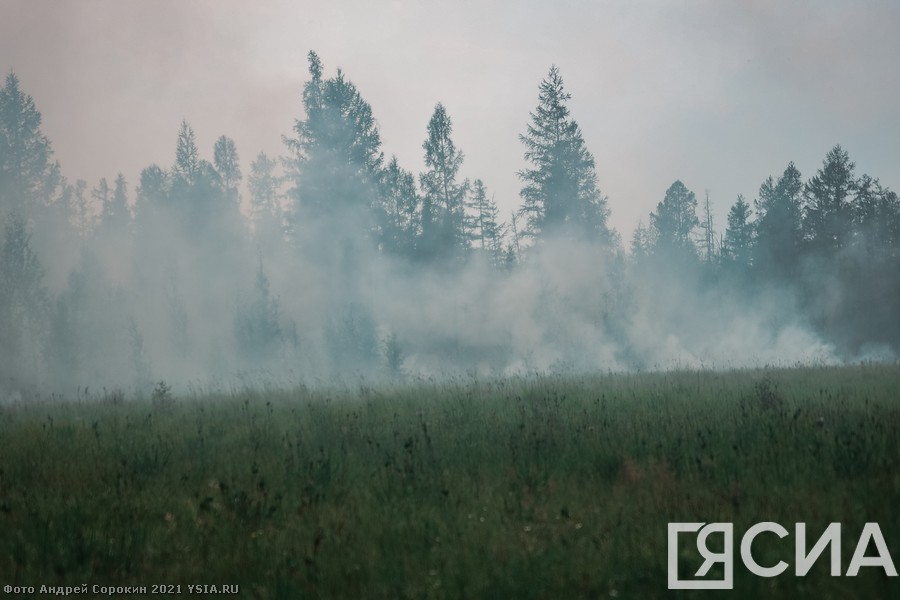 В Усть-Майском районе Якутии объявят режим ЧС из-за лесных пожаров