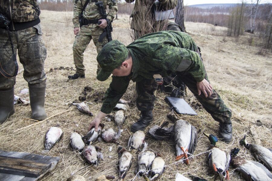 За праздничные дни выявили 61 нарушение правил охоты в Якутии