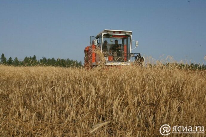 В трех районах Якутии приступили к посеву зерновых культур