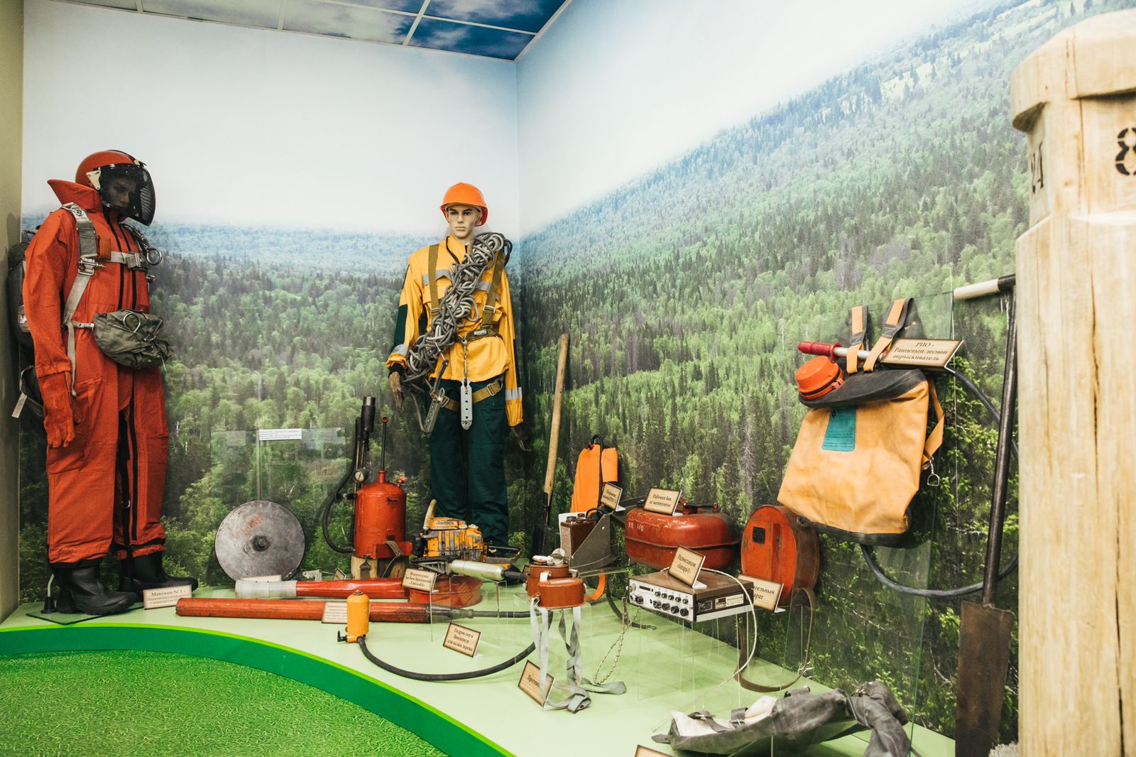 Музей леса Якутии стал лучшим музеем Рослесинфорга