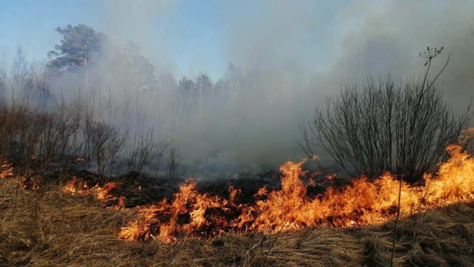Три лесных пожара обнаружено в Якутии за сутки