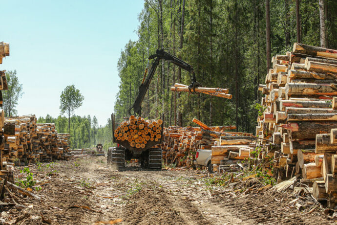 Новый лесопромышленный бизнес на принципах бережного отношения к природе создают в Якутии