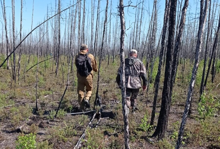 На территории Якутского лесничества состоялась коллективная тренировка лесопатологов
