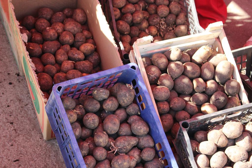 Семенная картошка продается в корзинках. 10 кг стоит примерно  800 рублей