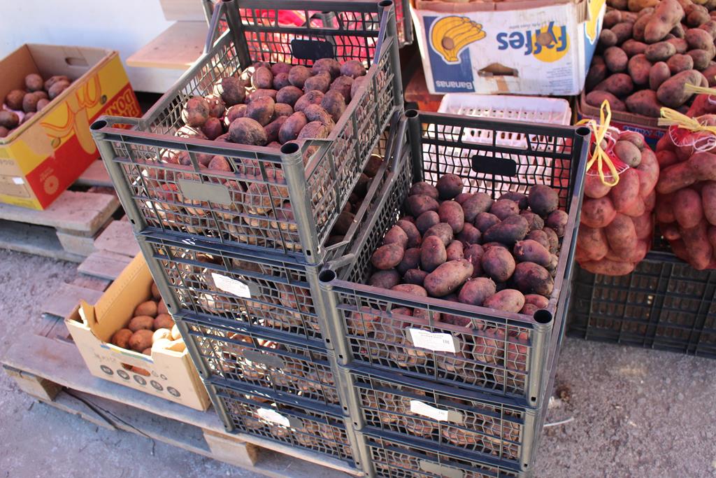 В прошлом году семенной картофель обошелся бы в 600 рублей