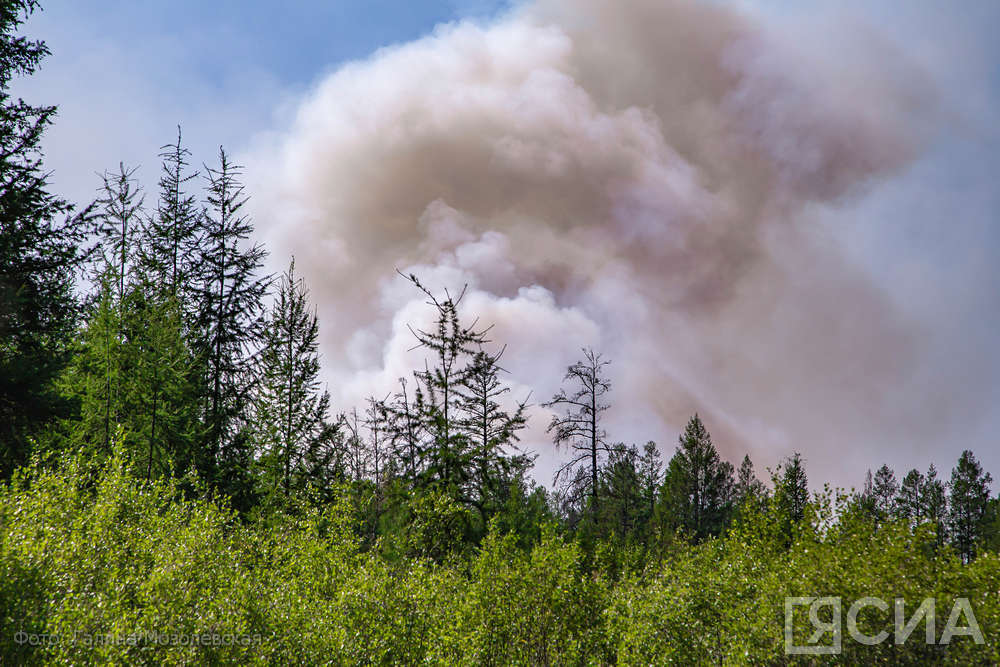Режим ЧС объявлен в Якутии из-за лесных пожаров