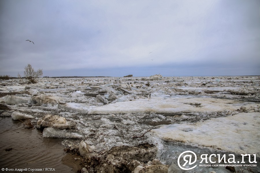 МЧС: Критических уровней на реках Якутии не зарегистрировано