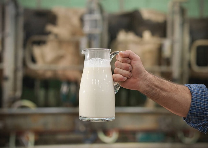 Минтруд утвердил условия для выдачи молока за 