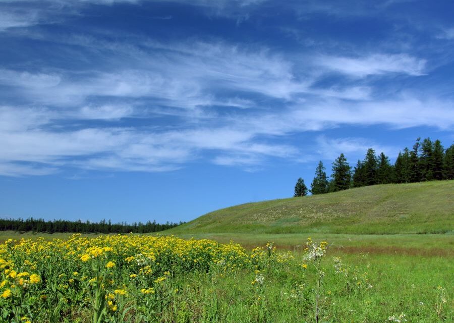 Сахам сирэ картинки