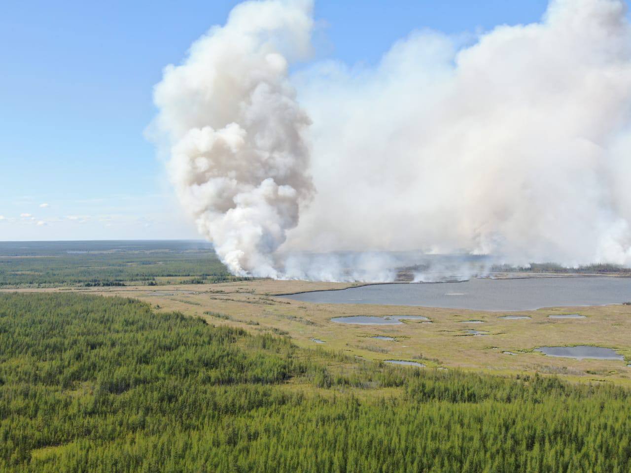 Лесной пожар действует недалеко от села Налимск в Якутии