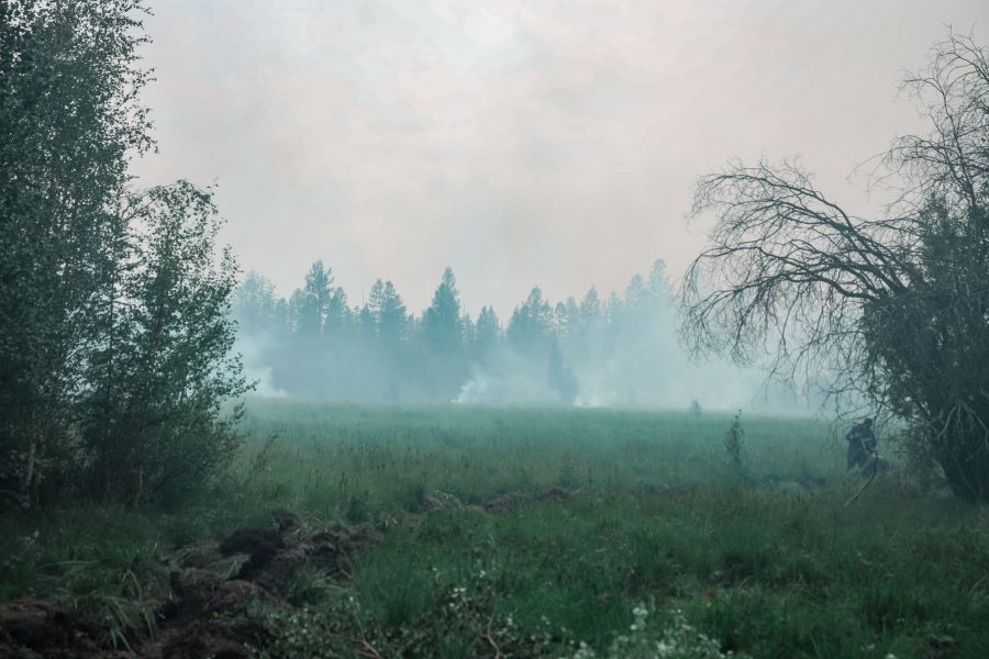 16 человек стали виновниками лесных пожаров в Якутии
