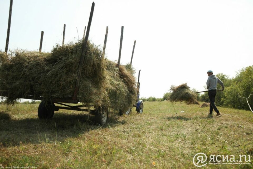 80 млн рублей направят на доплату мобильным бригадам для заготовки сена в Якутии