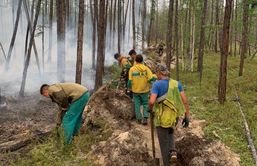 Работы по тушению трех лесных пожаров ведутся в Якутии
