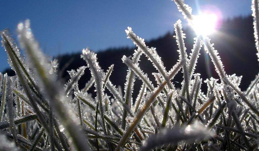 Синоптики предупредили о заморозках в ряде районов Якутии