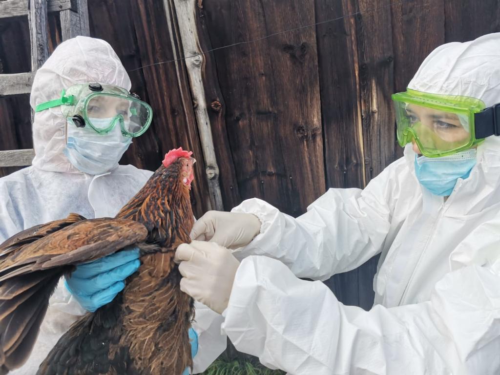 В Чульмане прошли межрегиональные учения по ликвидации гриппа птиц