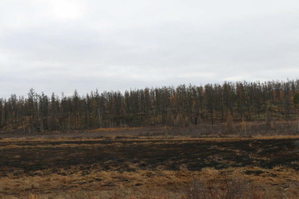 Сухую траву под контролем специалистов сжигают в Якутии