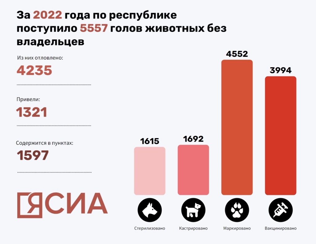 Проблему можно решить, если каждый задумается об ответственности»: о  безнадзорных собаках в Якутии | 17.11.2022 | Якутск - БезФормата