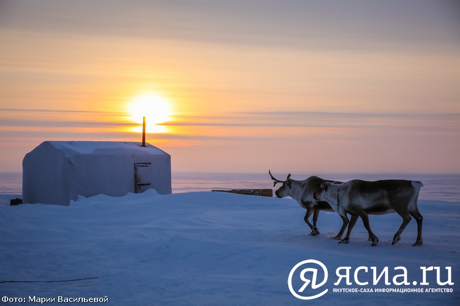 Исследователи Якутии и стран Азии обозначили направления изучения Арктики