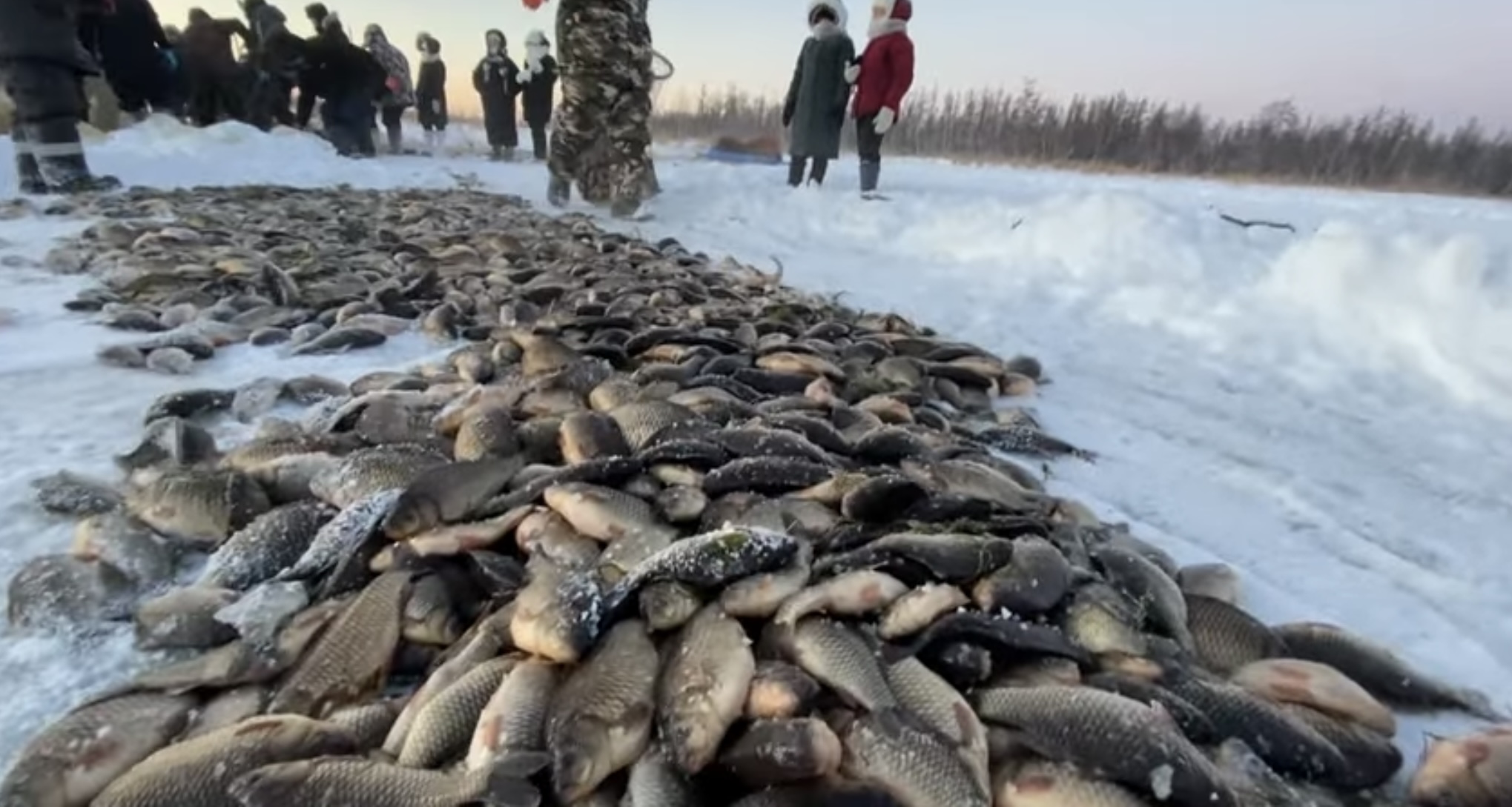 Рыбалка в якутии зимой 2020. Осипов мунха. Мунха тэрилэ. Мунха Якутск. Мунха в Кобяйском улусе.