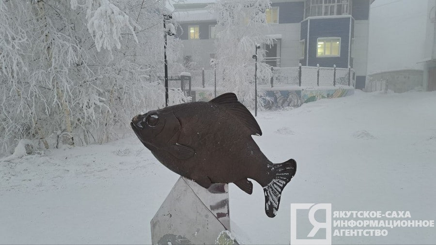 1 февраля в Якутске прогнозируют повышение температуры