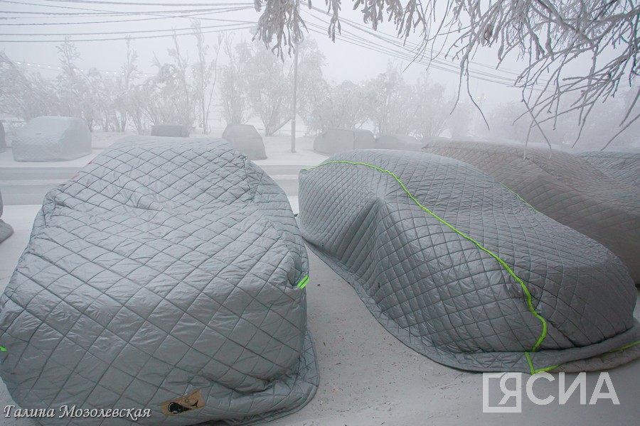 Продажи портативных гаражей в Якутии увеличились втрое