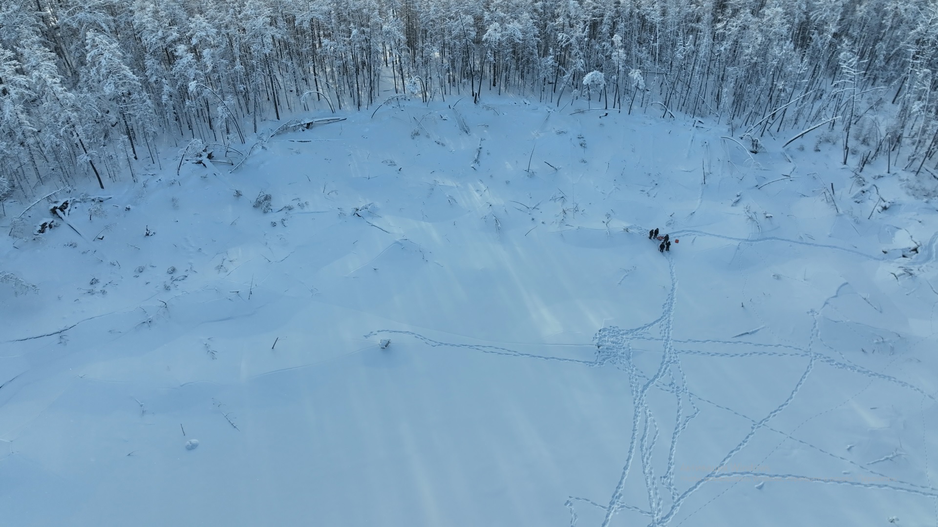 Установлена предварительная причина исчезновения озера в Таттинском районе Якутии