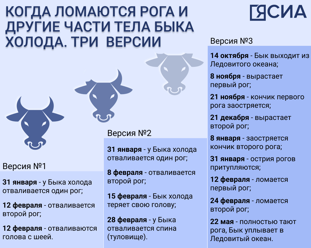 Инфографика: когда ломаются рога и другие части Быка холода | 12.02.2023 |  Якутск - БезФормата