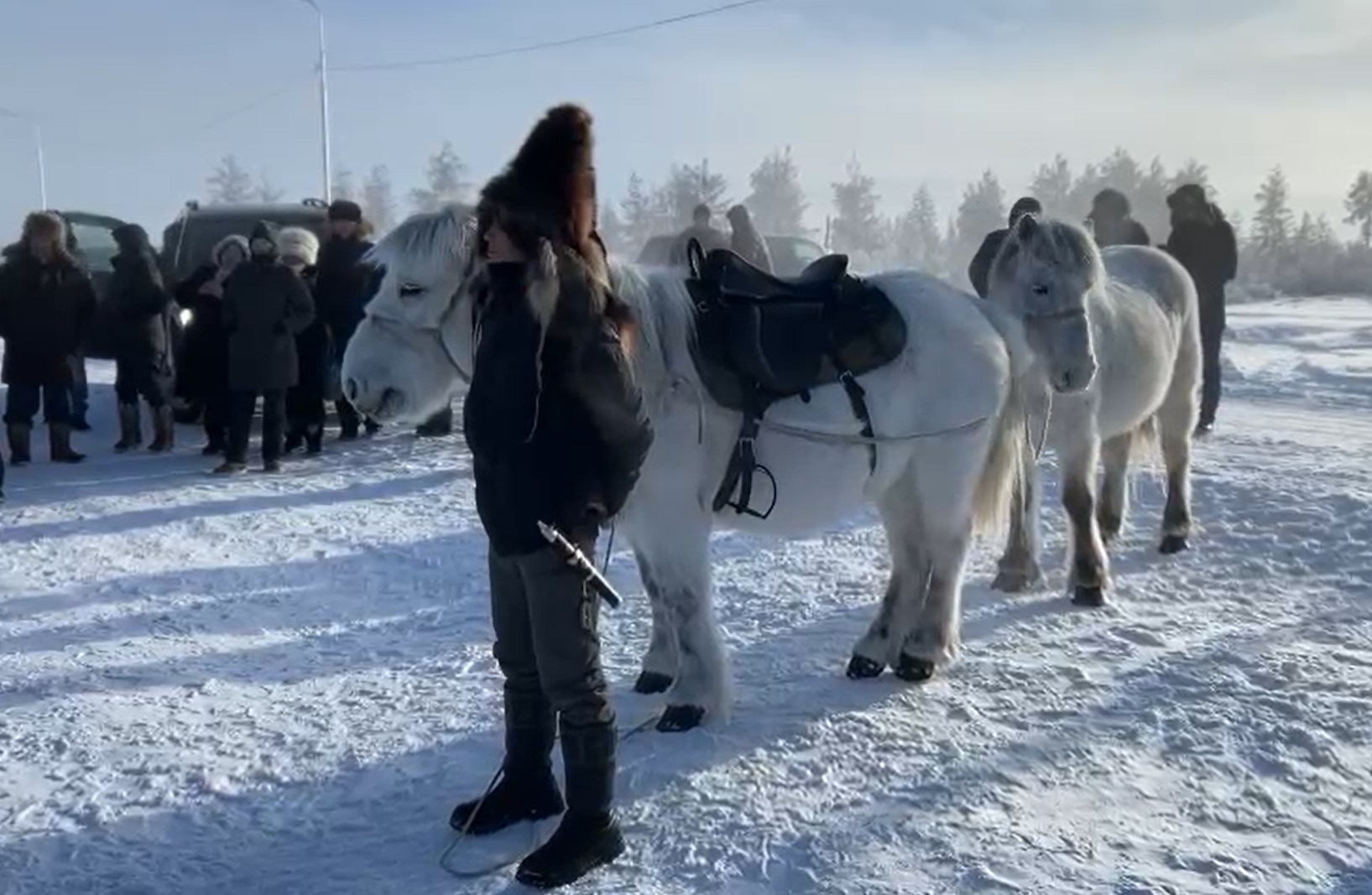 Якутская лошадь фото с человеком