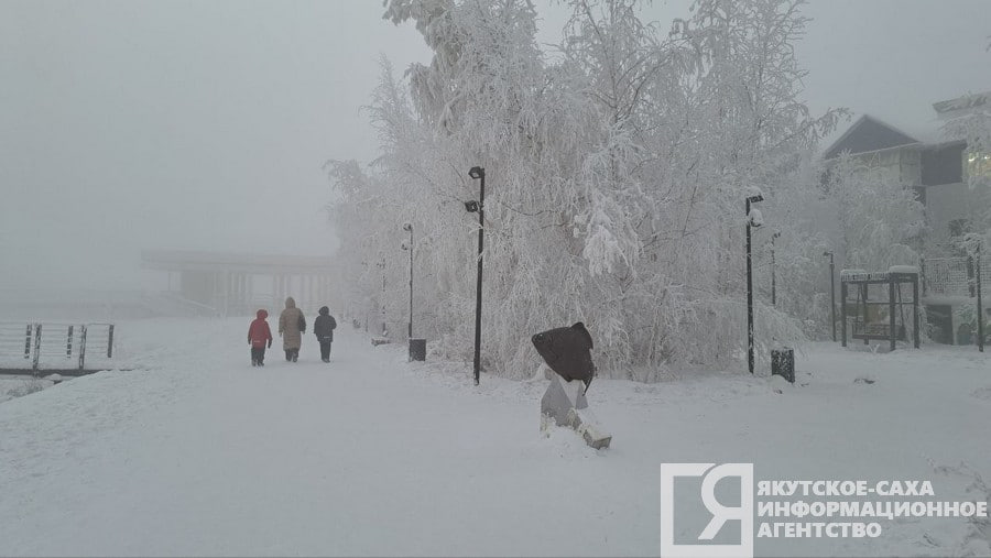 В новогоднюю ночь в ряде районов Якутии возможно небольшое потепление