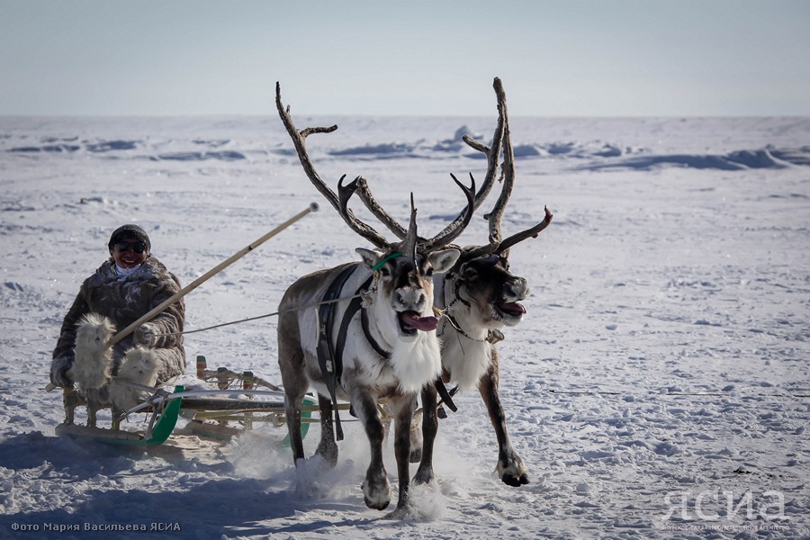 Достояние Якутии: Владимир Черноградский — о развитии якутской Арктики и поддержке населения