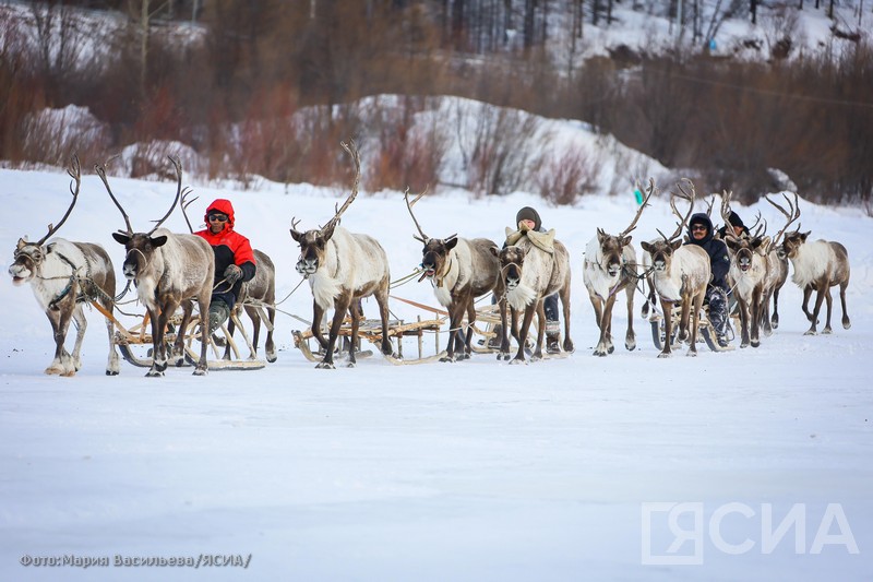 IV Игры народов севера пройдут в якутском селе Батагай-Алыта