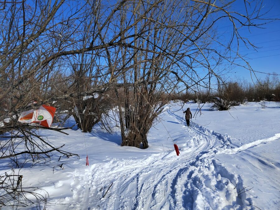 В Якутске состоится первенство по спортивному ориентированию на лыжах среди школьников