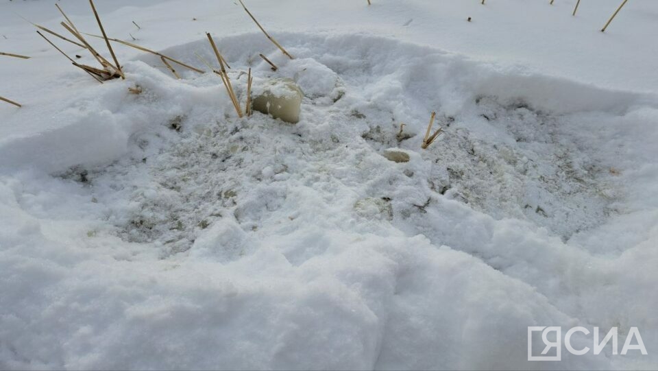 Убранный из подъезда на Якутской, 4Б лёд занесло снегом