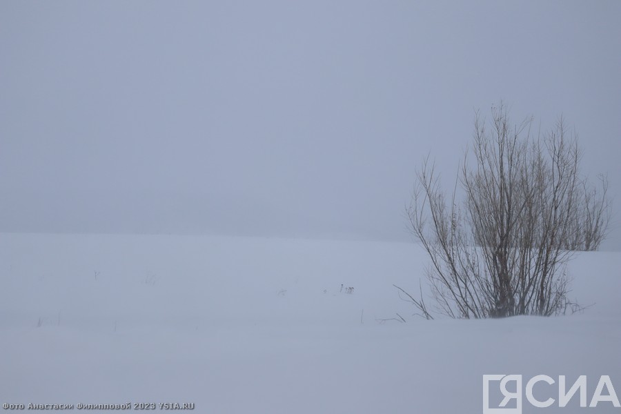 Первые 40-градусные морозы могут прийти в Якутию уже на следующей неделе