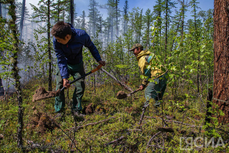 В Якутии за сутки потушили девять лесных пожаров