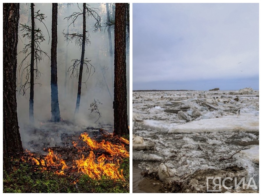 Связаны ли лесные пожары и паводок? Мнения экспертов
