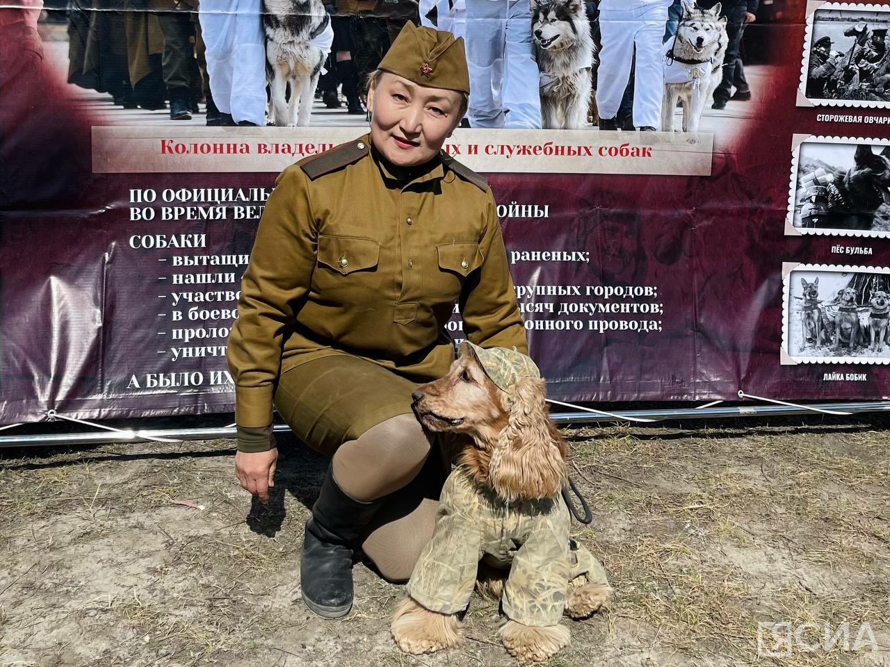 Стрижка собак в якутске