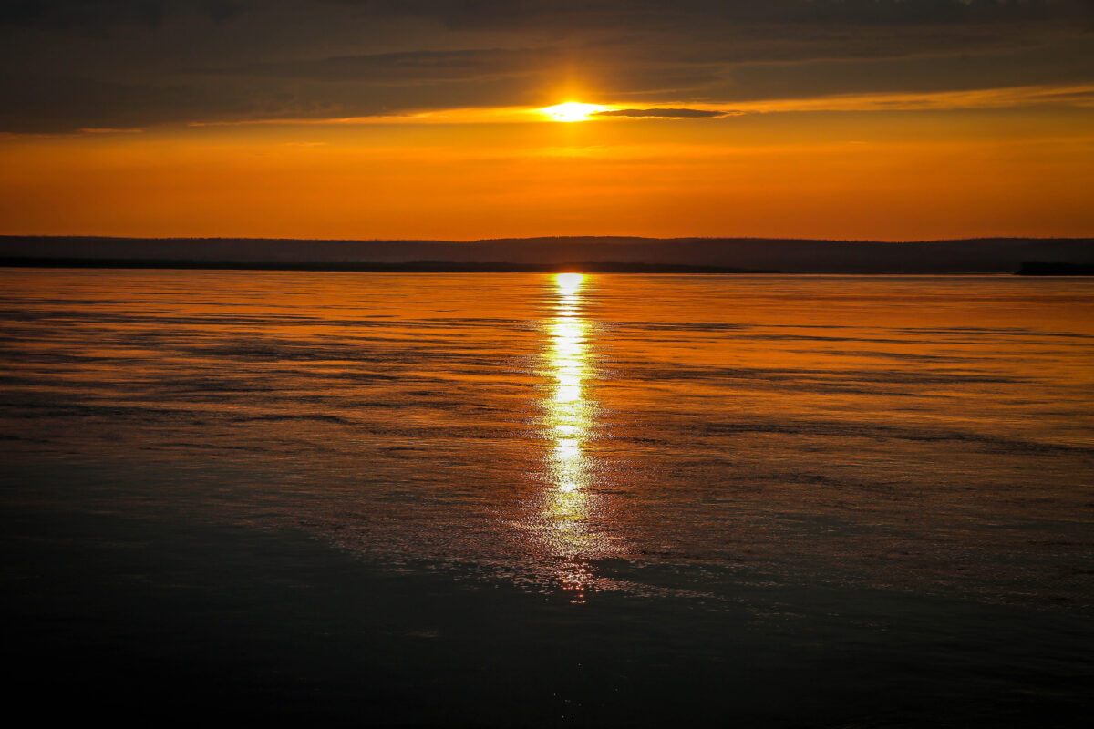 Пока в Якутии была ночь: пожар в зоопарке Ростова-на-Дону, тест «Рувики», транзитная виза в Египте