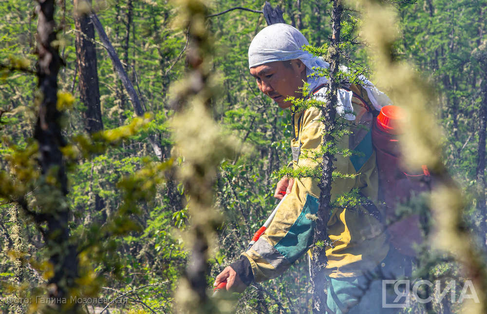 В Якутии в пожароопасный сезон к облёту территорий подключат команду парашютистов