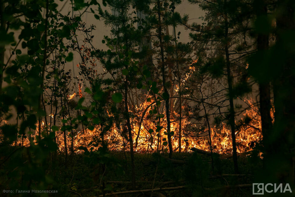 Лесной пожар обнаружен в Верхнеколымском районе Якутии