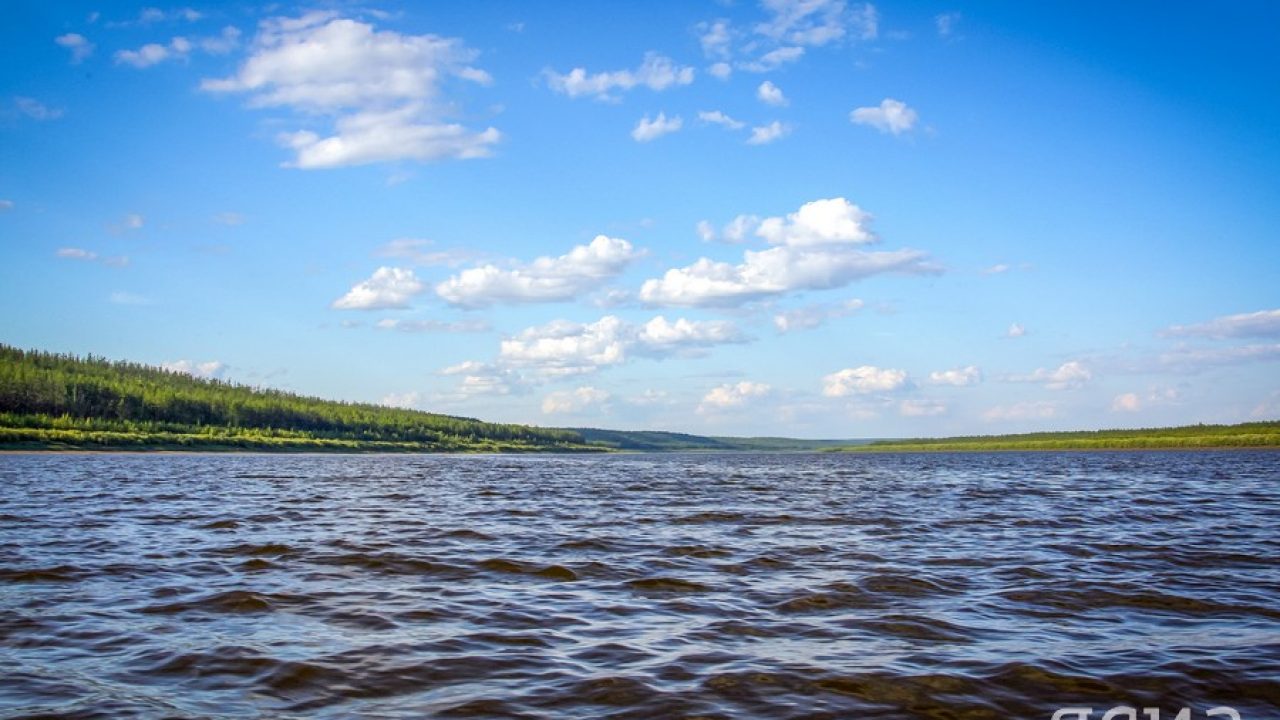 Слив телеграмм парней подростков фото 145