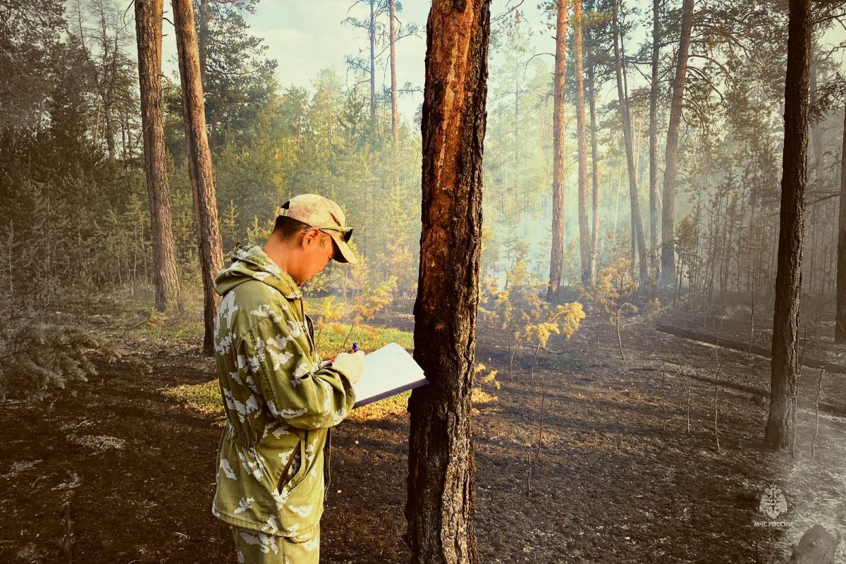 В Якутии будут выплачивать до 50 тысяч рублей за сведения о виновниках лесных пожаров