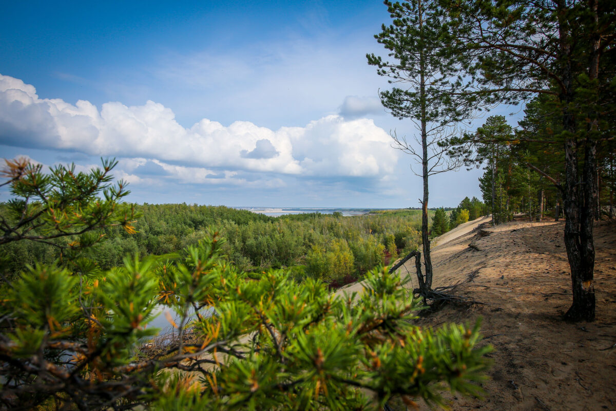 В Якутии рассматривают снятие режима ЧС межрегионального характера в лесах